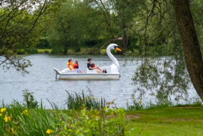 2024 CT PANELS 418x280 Swan Pedalo