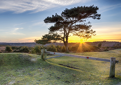 Ownership hoburne park new forest 400x280 2