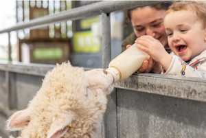 Cotswold Farm Park 580x389